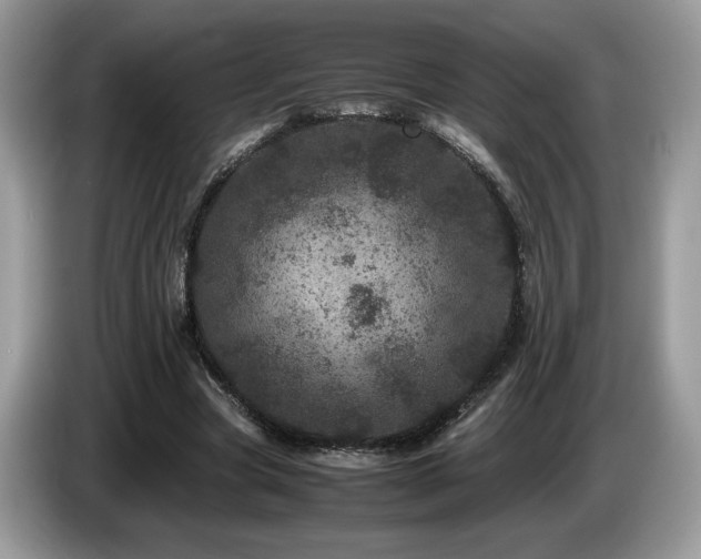 X0000087580537200704271307