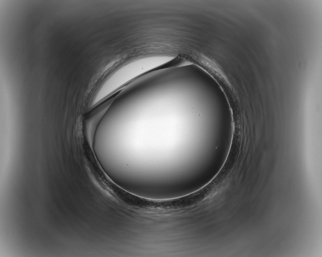 X0000087580538200704271307