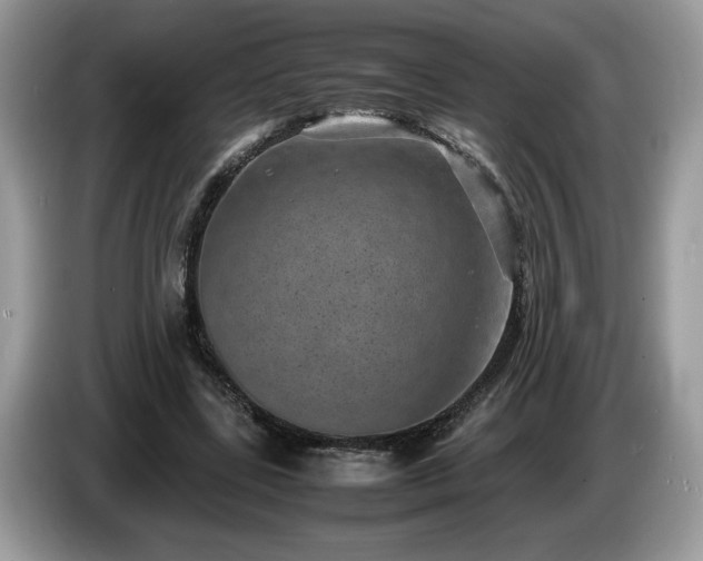 X0000087580539200704271307