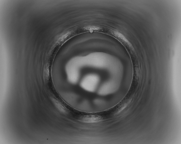 X0000087580541200704271307