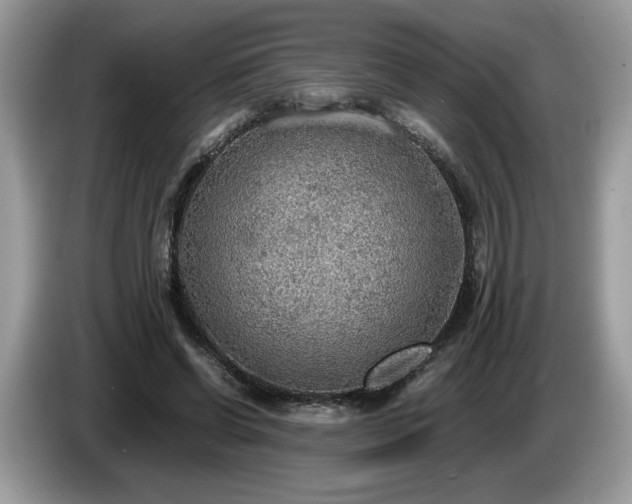 X0000087580542200704271307