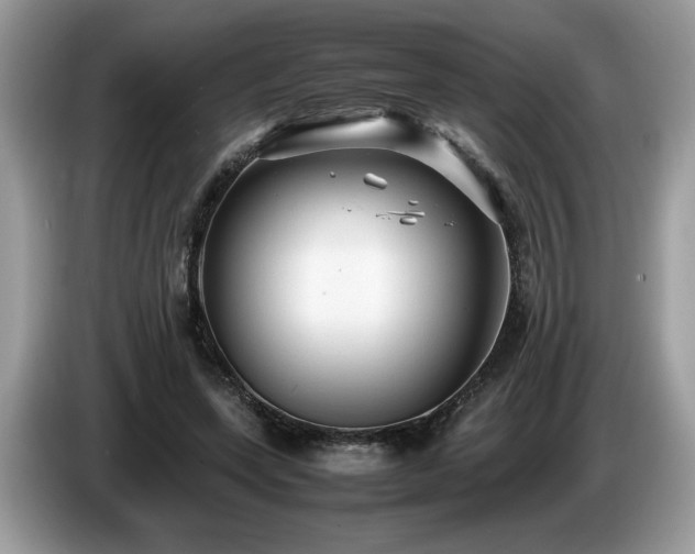 X0000087580543200704271307