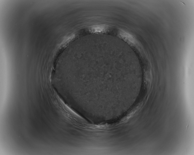 X0000087580545200704271307