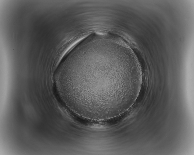 X0000087580550200704271307