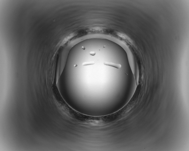 X0000087580552200704271307