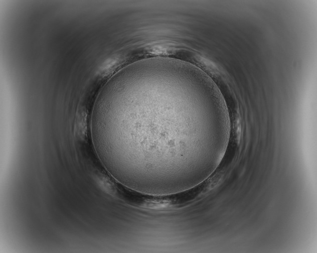 X0000087580554200704271307