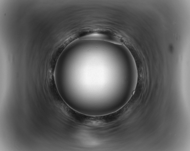 X0000087580555200704271307