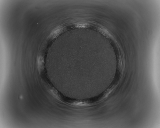 X0000087580557200704271307