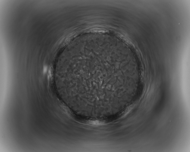 X0000087580561200704271307