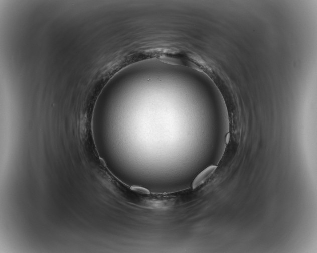 X0000087580563200704271307
