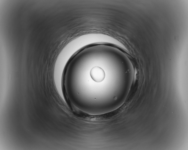 X0000087580564200704271307