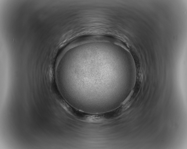 X0000087580568200704271307