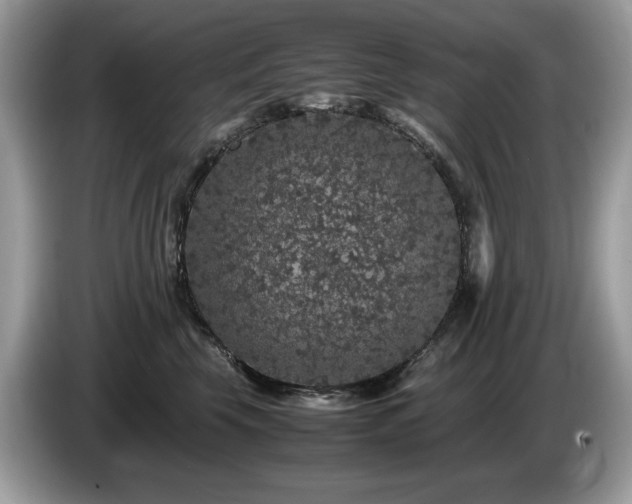 X0000087580569200704271307