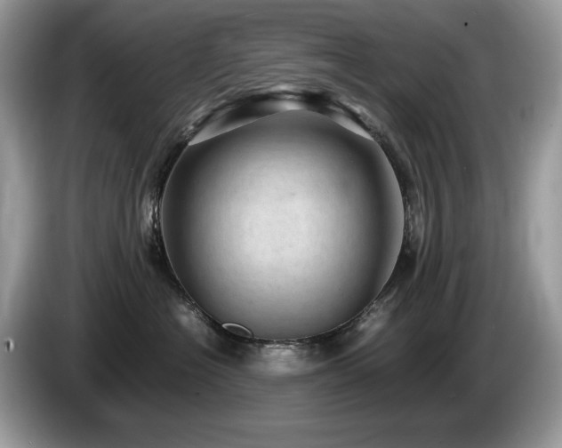 X0000087580574200704271307