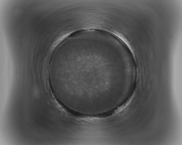 X0000087580577200704271307
