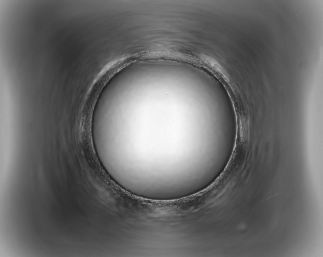 X0000087580579200704271307
