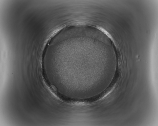 X0000087580581200704271306