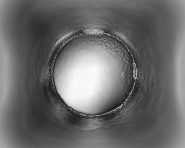 X0000087580583200704271306