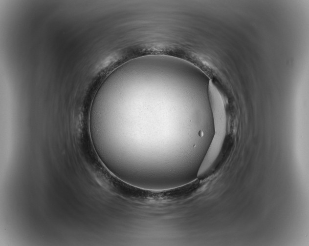 X0000087580591200704271306