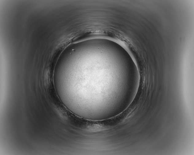 X0000087580594200704271306