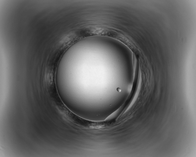 X0000087580602200704271306