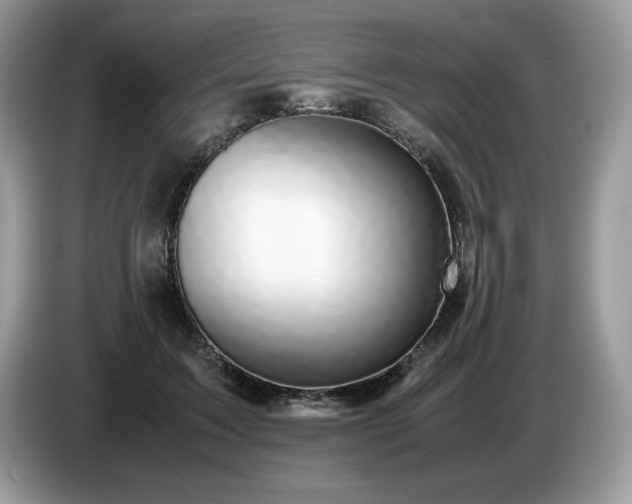 X0000087580603200704271306
