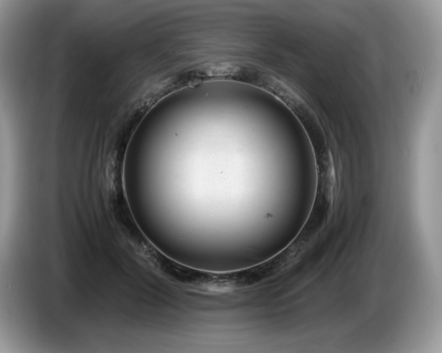 X0000087580604200704271306
