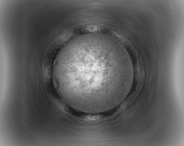 X0000087580606200704271306