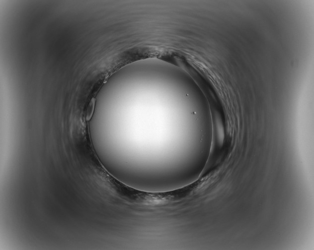 X0000087580613200704271306