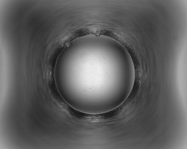 X0000087580615200704271306