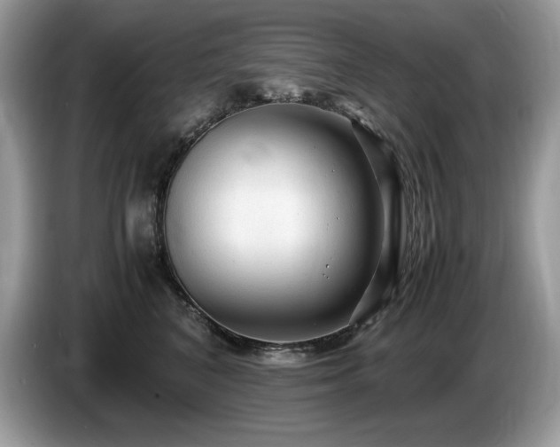 X0000087580616200704271306