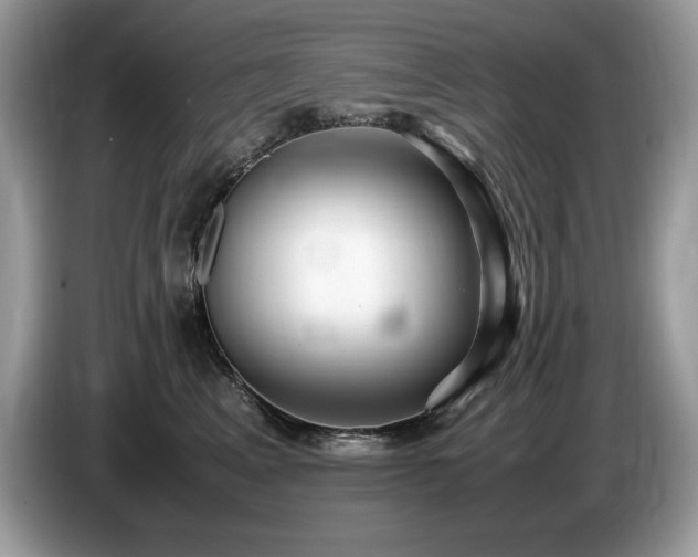 X0000087580617200704271306