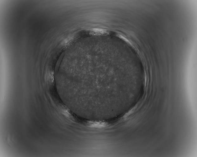 X0000087580621200704271306