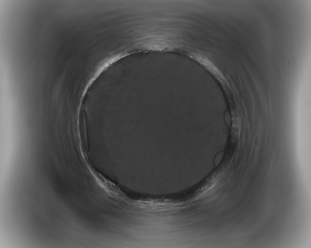 X0000087580626200704271305
