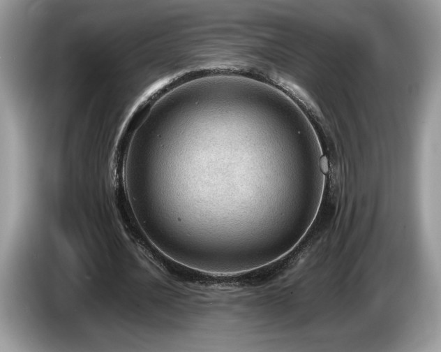X0000087580628200704271305