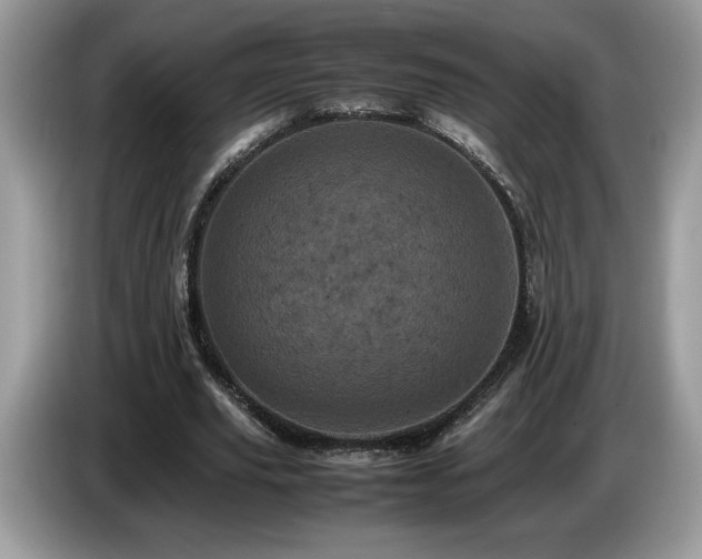 X0000087580629200704271305