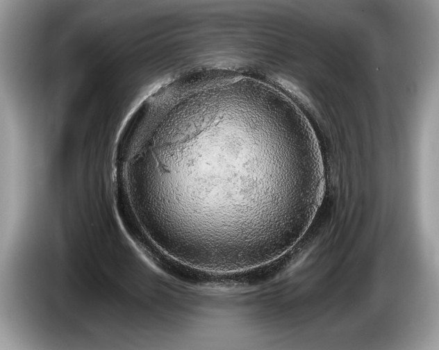 X0000087580630200704271306