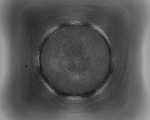 X0000087580633200704271306