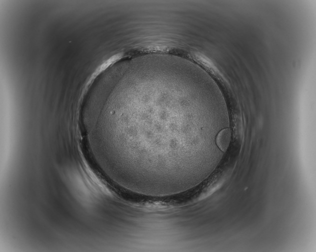 X0000087580634200704271306