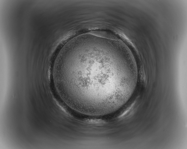 X0000087580637200704271306
