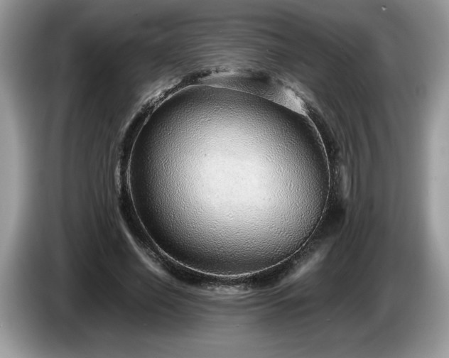 X0000087580638200704271306