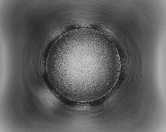 X0000087580642200704271306