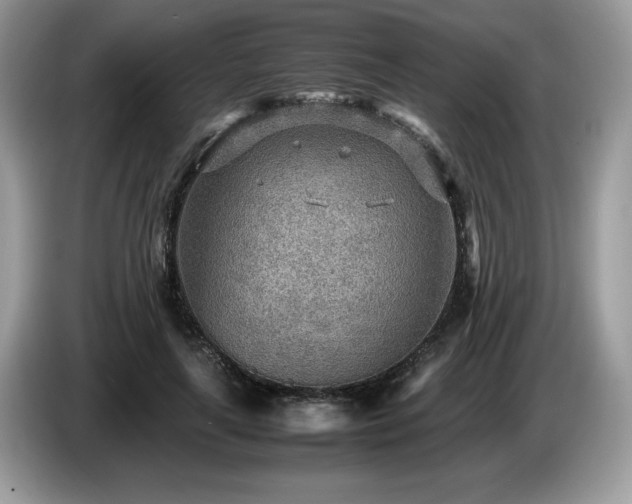 X0000087580643200704271306