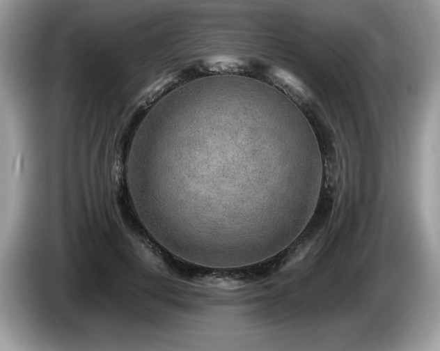 X0000087580648200704271306