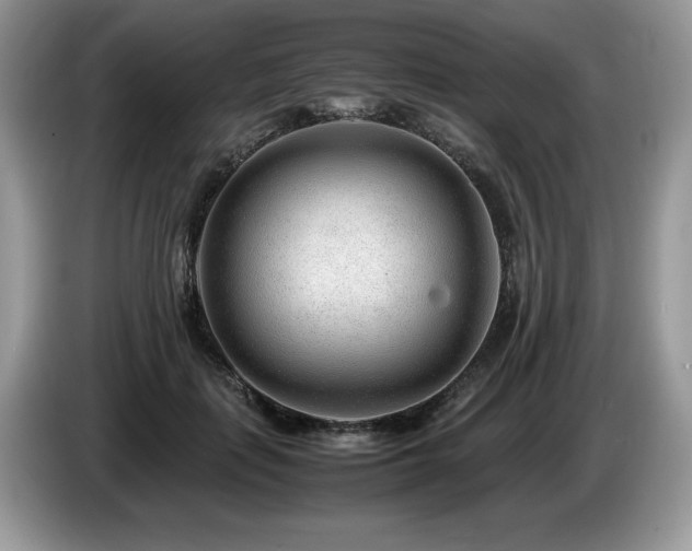 X0000087580651200704271306