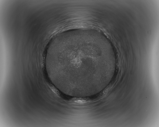 X0000087580658200704271306