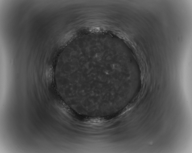 X0000087580659200704271306