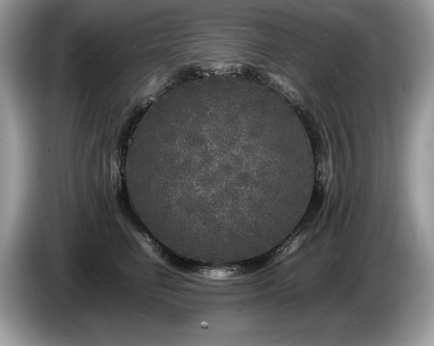 X0000087580662200704271306