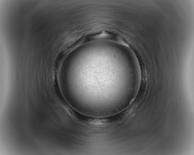 X0000087580664200704271306