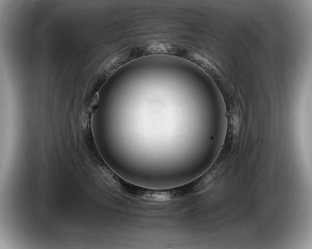 X0000087580665200704271306